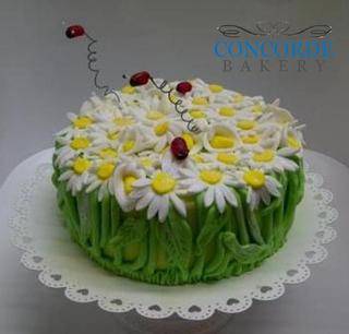 daisy ladybug cake